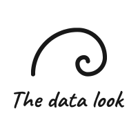 The data look logo, The data look contact details