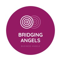 Bridging Angels logo, Bridging Angels contact details