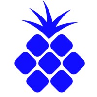 bluepineapple logo, bluepineapple contact details