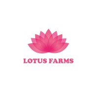 Lotus Hospitality logo, Lotus Hospitality contact details