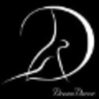 DreamDance Foundation logo, DreamDance Foundation contact details