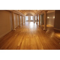 Wood Vitalize Wood Floor Refinishing logo, Wood Vitalize Wood Floor Refinishing contact details