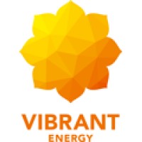 Vibrant Energy Holdings Private Limited logo, Vibrant Energy Holdings Private Limited contact details