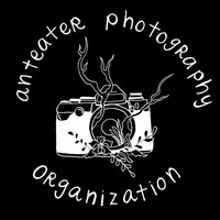 Anteater Photography Organization logo, Anteater Photography Organization contact details