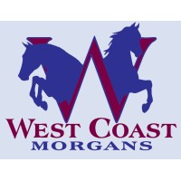 West Coast Morgans, Inc. logo, West Coast Morgans, Inc. contact details