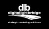 Digital Lightbridge logo, Digital Lightbridge contact details