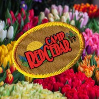 Camp Red Cedar logo, Camp Red Cedar contact details