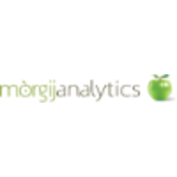 Mòrgij Analytics logo, Mòrgij Analytics contact details