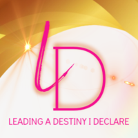 LADIDeclare logo, LADIDeclare contact details