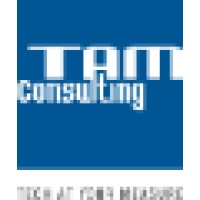 TAM Consulting - IT Services logo, TAM Consulting - IT Services contact details