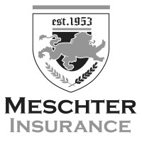 MESCHTER INSURANCE GROUP INC logo, MESCHTER INSURANCE GROUP INC contact details