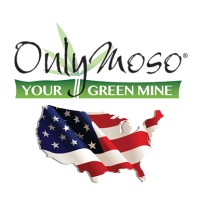 OnlyMoso USA logo, OnlyMoso USA contact details