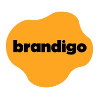 Brandigo logo, Brandigo contact details