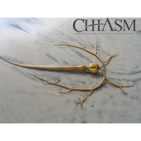 Chiasm: BYU Undergraduate Research Journal of Neuroscience logo, Chiasm: BYU Undergraduate Research Journal of Neuroscience contact details