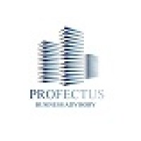 Profectus Business Advisory Pty Limited logo, Profectus Business Advisory Pty Limited contact details