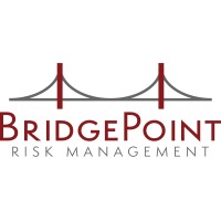 BridgePoint Risk Management logo, BridgePoint Risk Management contact details