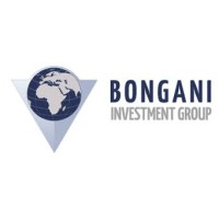 Bongani Investment Group logo, Bongani Investment Group contact details