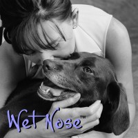 Wet Nose Inc logo, Wet Nose Inc contact details