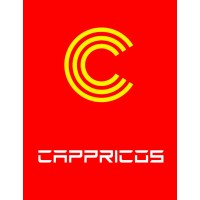 Cappricos Technology Solutions logo, Cappricos Technology Solutions contact details