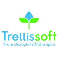 TrellisSoft Inc logo, TrellisSoft Inc contact details