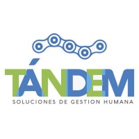 Tándem Consultora logo, Tándem Consultora contact details