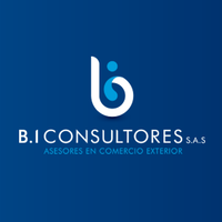 BI Consultores logo, BI Consultores contact details