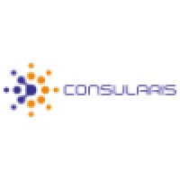 Consularis Technology Solutions Pvt. Ltd logo, Consularis Technology Solutions Pvt. Ltd contact details