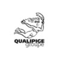 Qualipige logo, Qualipige contact details