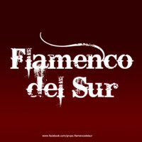 Flamenco del Sur logo, Flamenco del Sur contact details