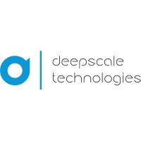 DeepScale Technologies LTD logo, DeepScale Technologies LTD contact details