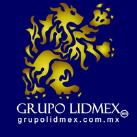 GRUPO LIDMEX logo, GRUPO LIDMEX contact details