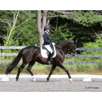 Jordan Rothman Dressage, LLC logo, Jordan Rothman Dressage, LLC contact details