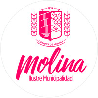 Ilustre Municipalidad de Molina logo, Ilustre Municipalidad de Molina contact details