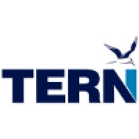 TERN Financial Group Inc. logo, TERN Financial Group Inc. contact details