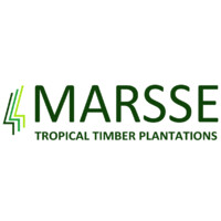 MARSSE Tropical Timber Plantations logo, MARSSE Tropical Timber Plantations contact details