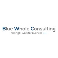 Blue Whale Consulting logo, Blue Whale Consulting contact details