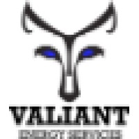 Valiant Energy Services Ltd. logo, Valiant Energy Services Ltd. contact details