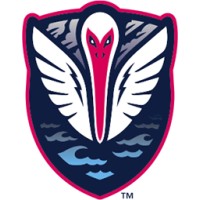 South Georgia Tormenta FC logo, South Georgia Tormenta FC contact details