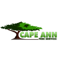 Cape Ann Tree inc logo, Cape Ann Tree inc contact details