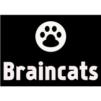 Braincats Consulting logo, Braincats Consulting contact details