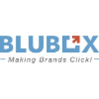 BLUBOX.in (Your Preferred E-Tailing Business Partner) logo, BLUBOX.in (Your Preferred E-Tailing Business Partner) contact details