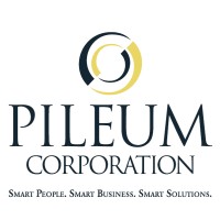 Pileum Corporation logo, Pileum Corporation contact details