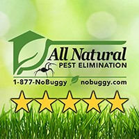 All Natural Pest Elimination logo, All Natural Pest Elimination contact details