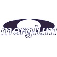 Mergium Advisors Inc. logo, Mergium Advisors Inc. contact details