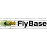 FlyBase logo, FlyBase contact details