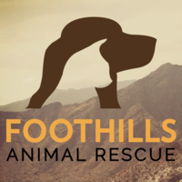 Foothills Animal Rescue logo, Foothills Animal Rescue contact details