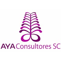 AYA Consultores logo, AYA Consultores contact details