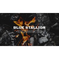 Blue Stallion Digital Marketing Group logo, Blue Stallion Digital Marketing Group contact details