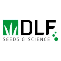 DLF logo, DLF contact details