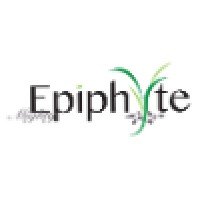 Mighty Epiphyte Consulting LLC logo, Mighty Epiphyte Consulting LLC contact details